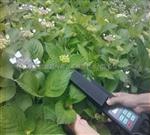 便携式活体叶面积测量仪