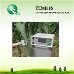 河南云飞科技植物光合作用测定仪厂家直销 价格优惠