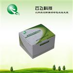 微生物检测试剂厂家  微生物检测试剂价格  河南云飞科技